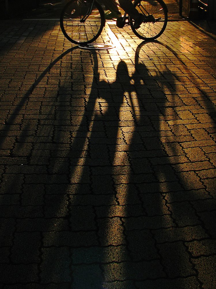 自転車の人