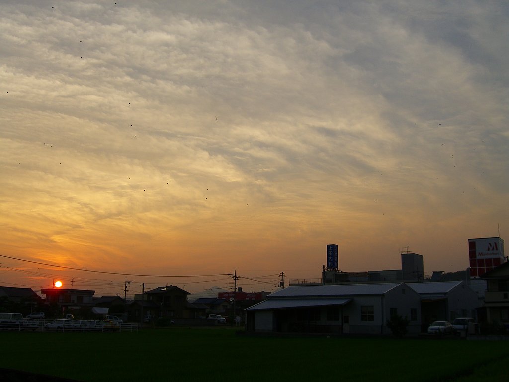 定点観測-夕日