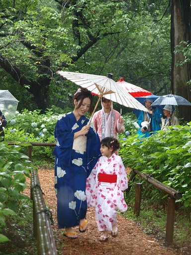 【道】紫陽花まつり