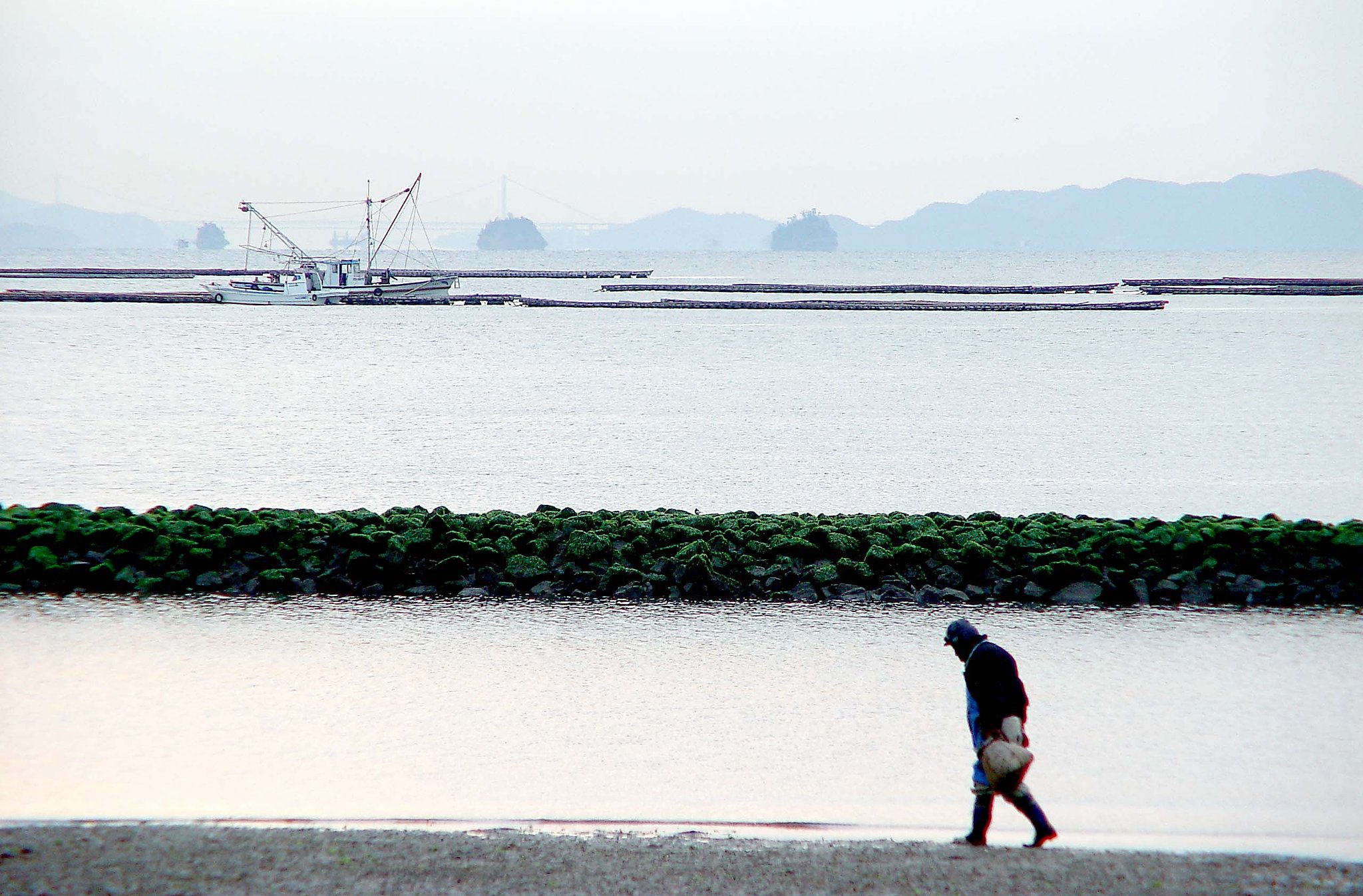 朝の浅