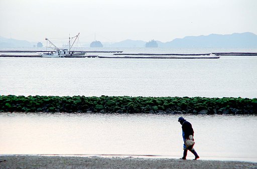 朝の浅