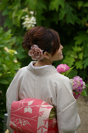 紫陽花娘