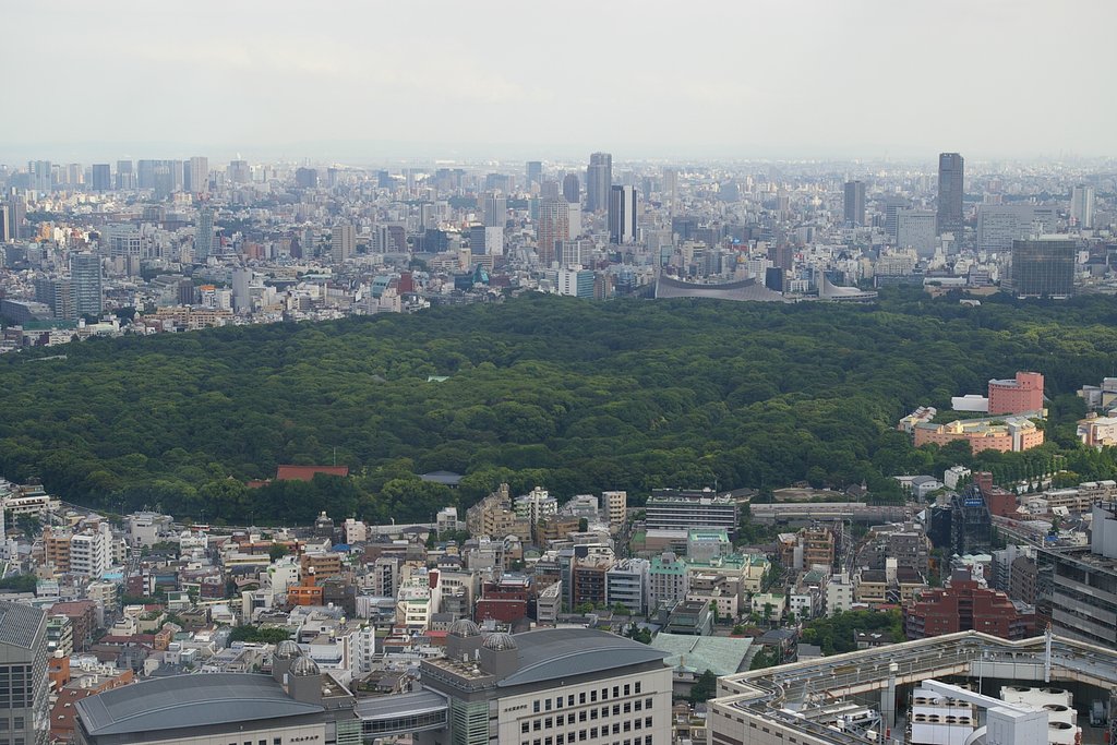 都庁から撮影