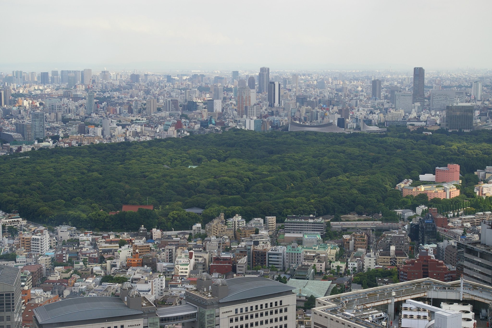 都庁から撮影