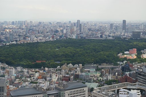 都庁から撮影