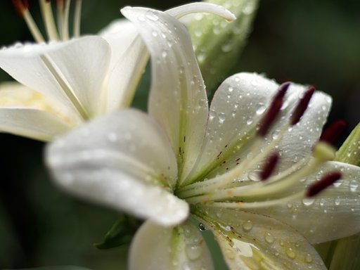 雨滴
