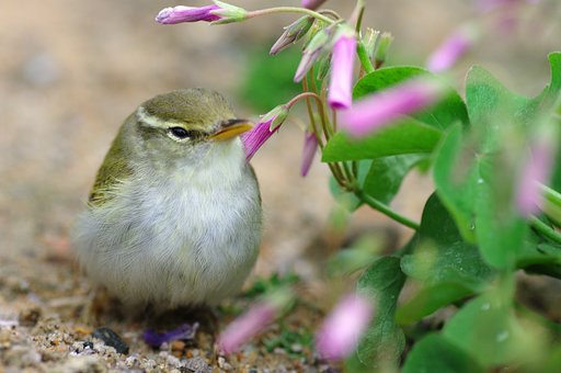 だいじょうぶかなあ