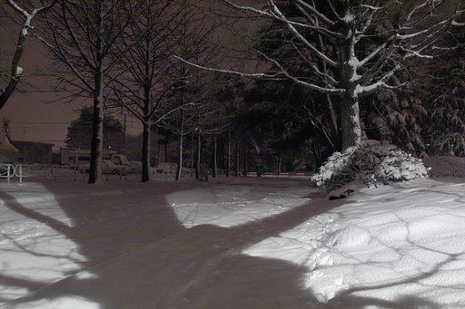 雪振る中「おおきな木の陰」