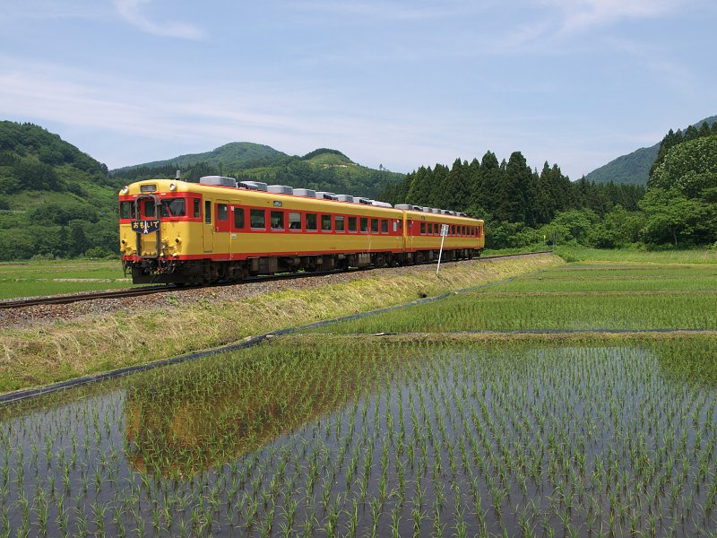 老兵疾走る