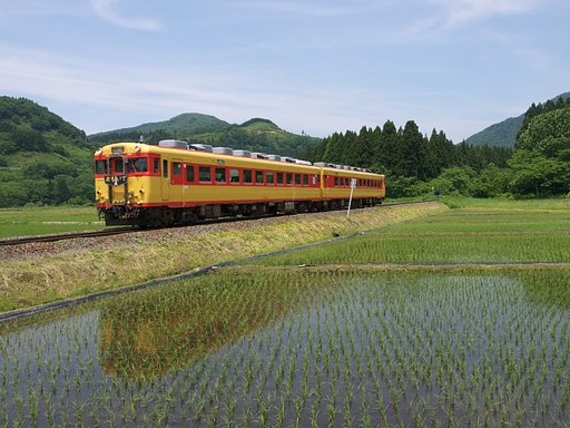 老兵疾走る