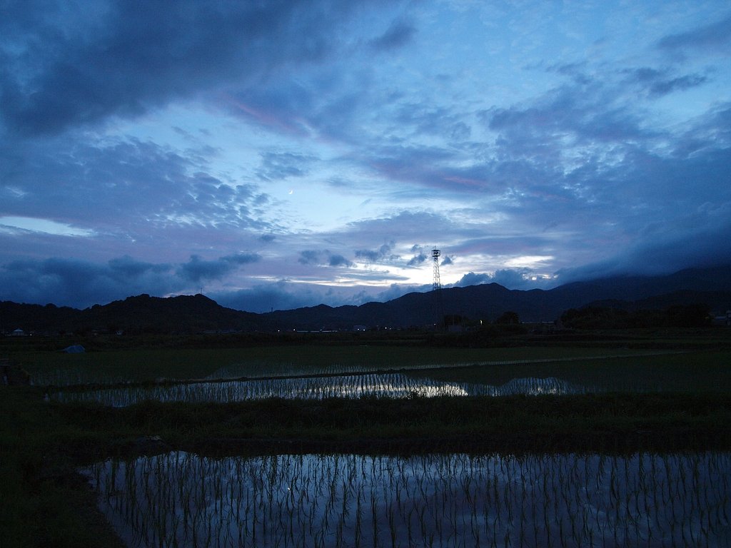 もうすぐ梅雨明け