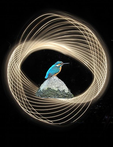 レンズの夢
