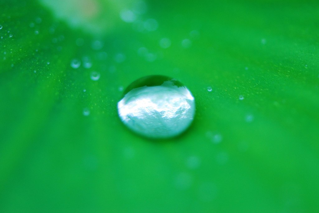 水玉の空