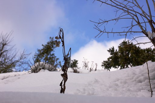 2月2日の写真