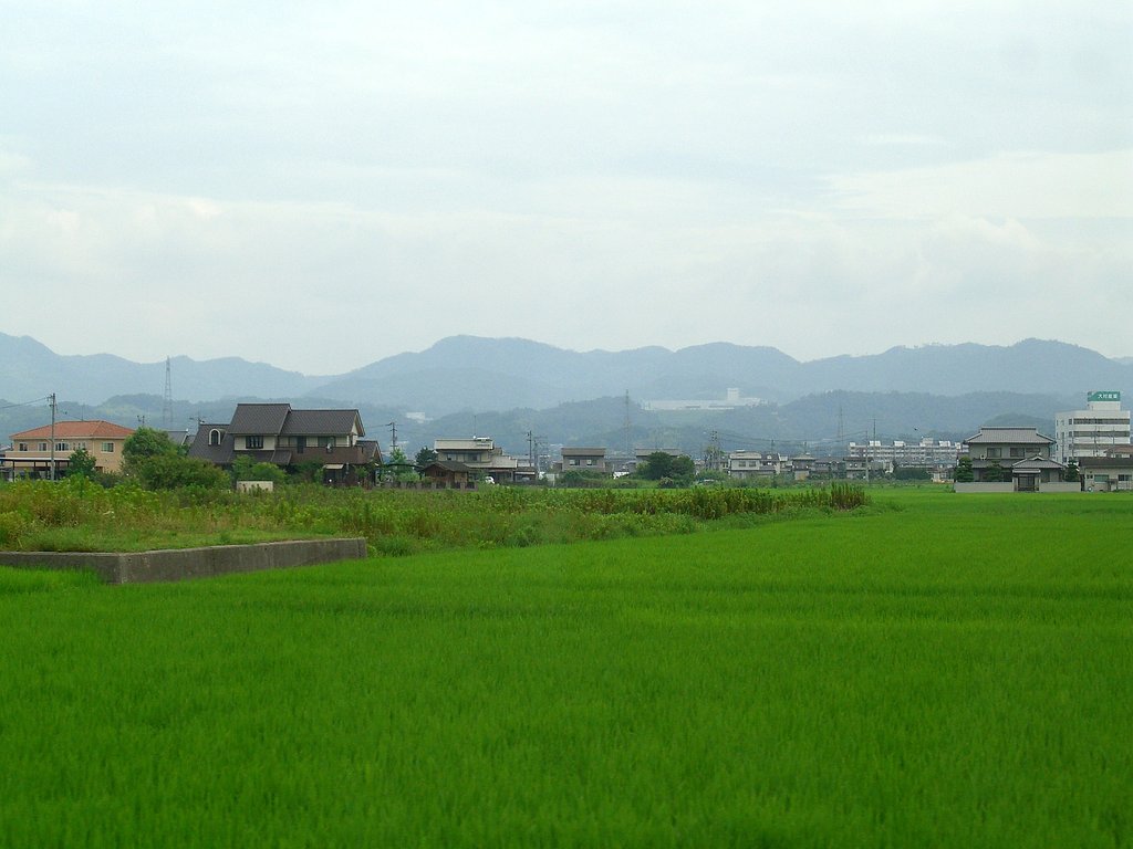 田園風景健在