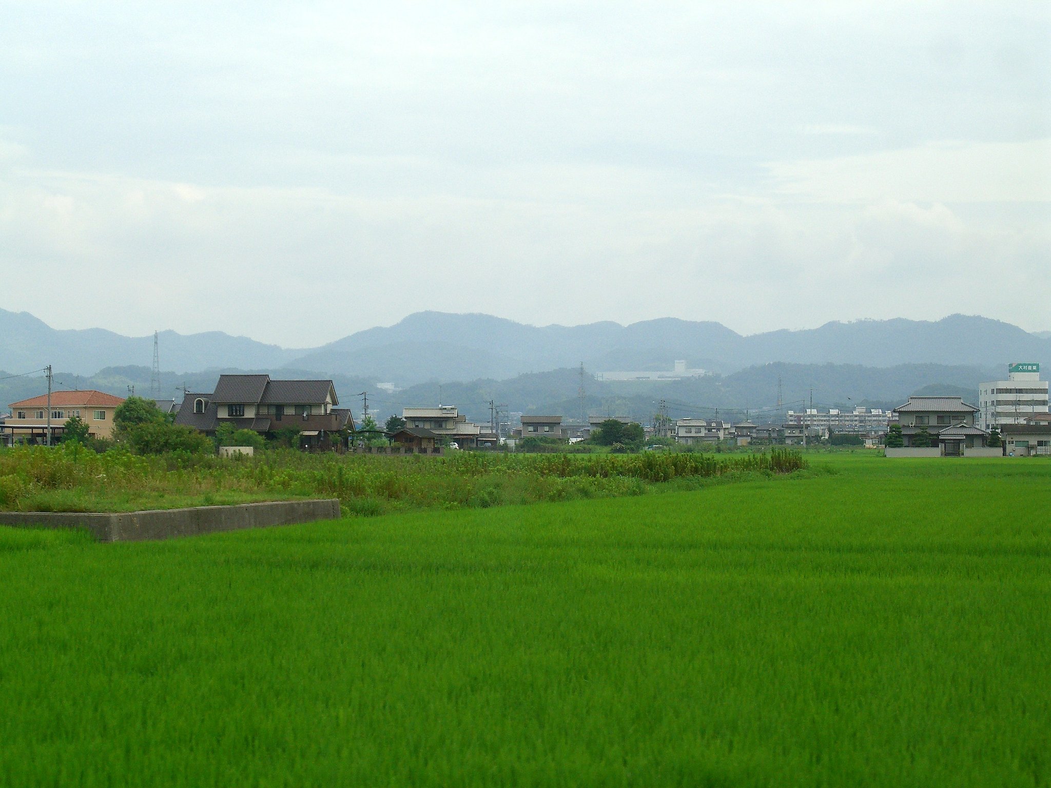 田園風景健在