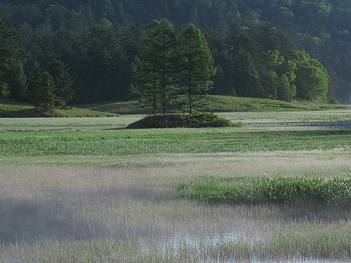 尾瀬塚