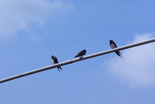 爽やかな青空