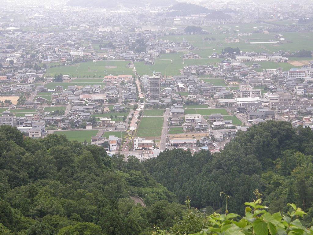 勉強中