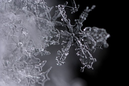 雪の万華鏡