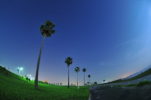 Fish eye