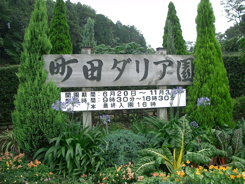 〜町田ダリア園〜