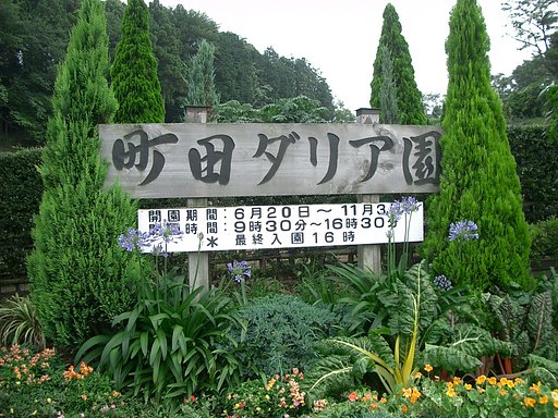 〜町田ダリア園〜