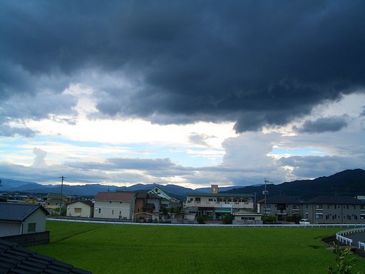 本日も空振り？