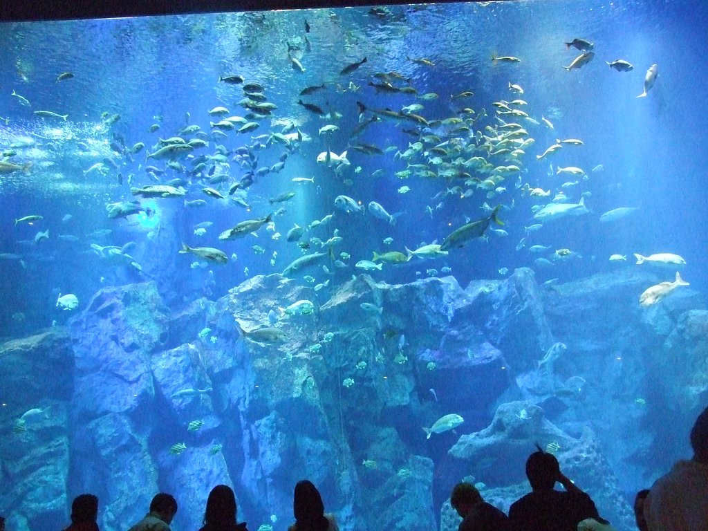 水族館にて・・・