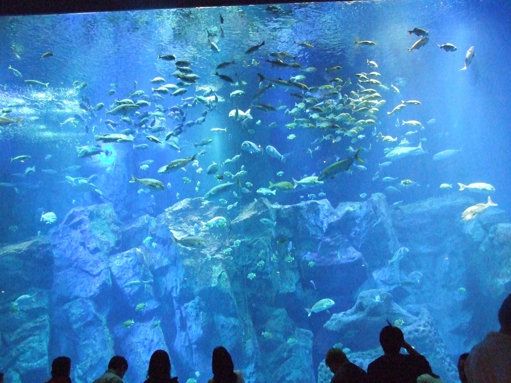 水族館にて・・・