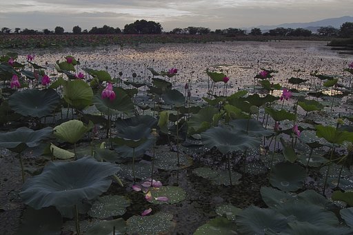 夜明けの時