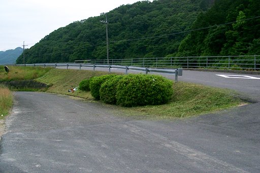 国道９号から村の入口付近草刈