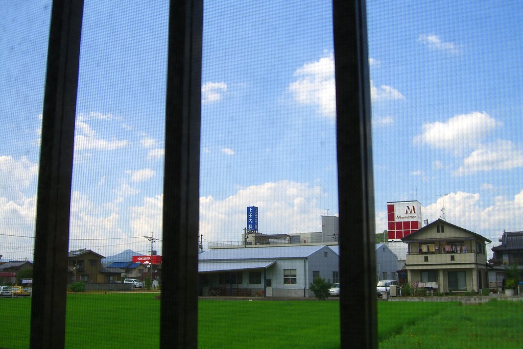 夏空-その２
