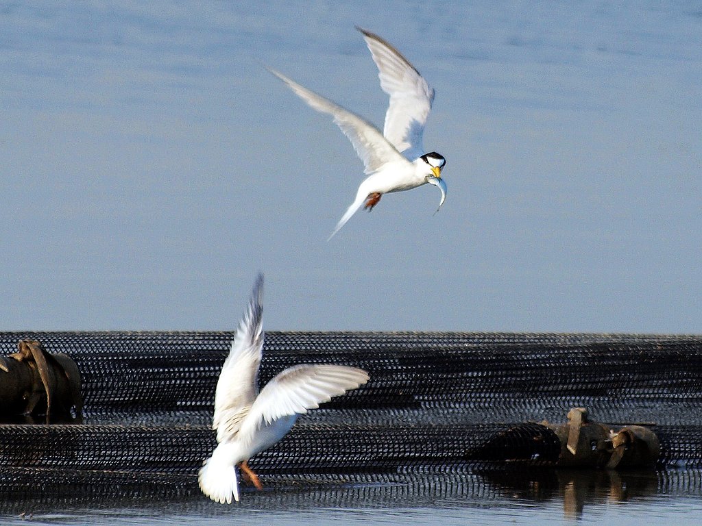 親も大変