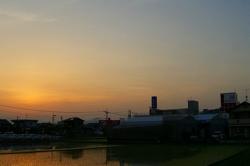 定点観測-グラデーション