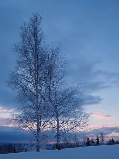 −２０℃の朝