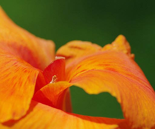 夏色
