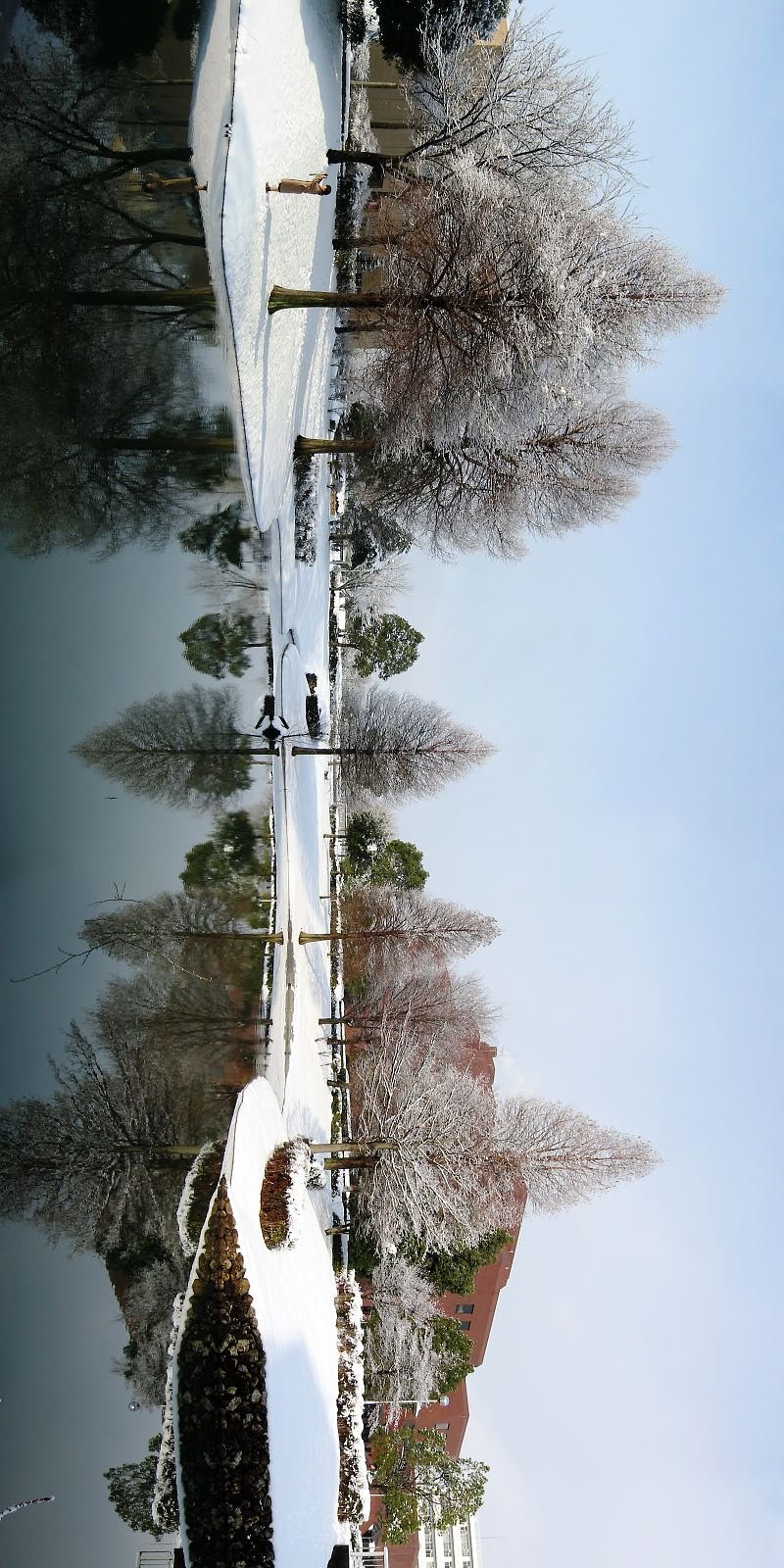 雪景色