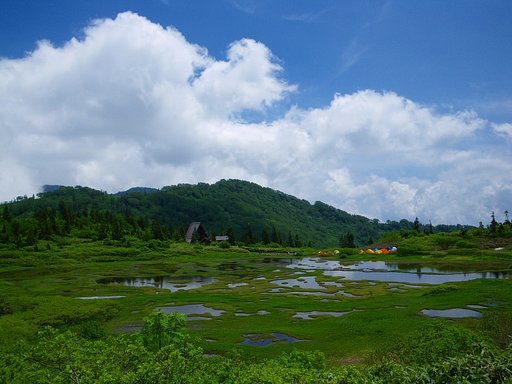 夏の山景色