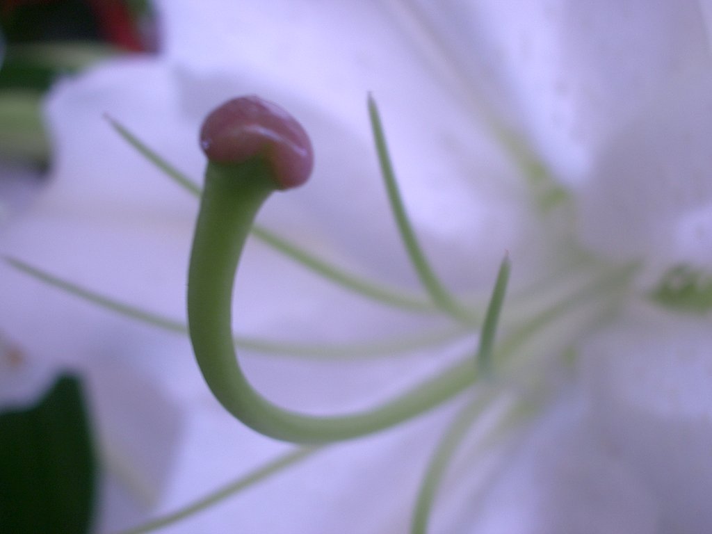 接近し過ぎ？