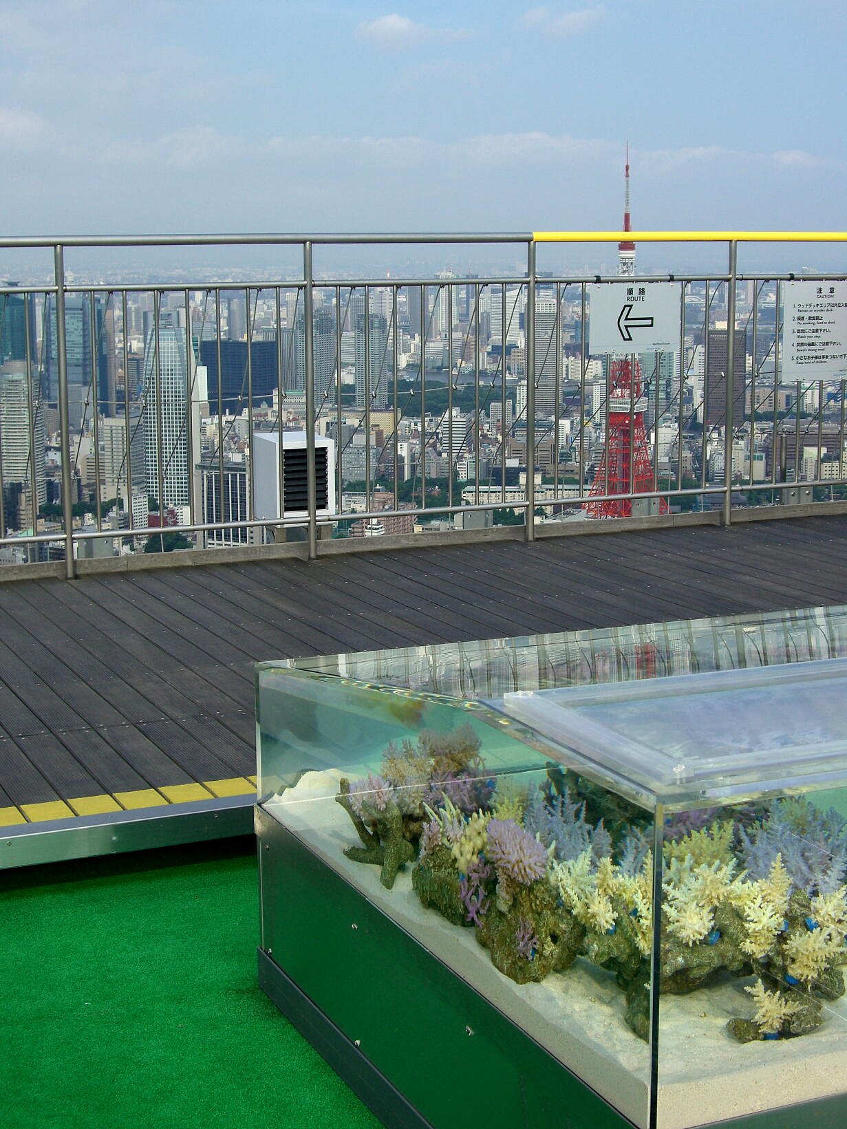 東京タワーと珊瑚礁