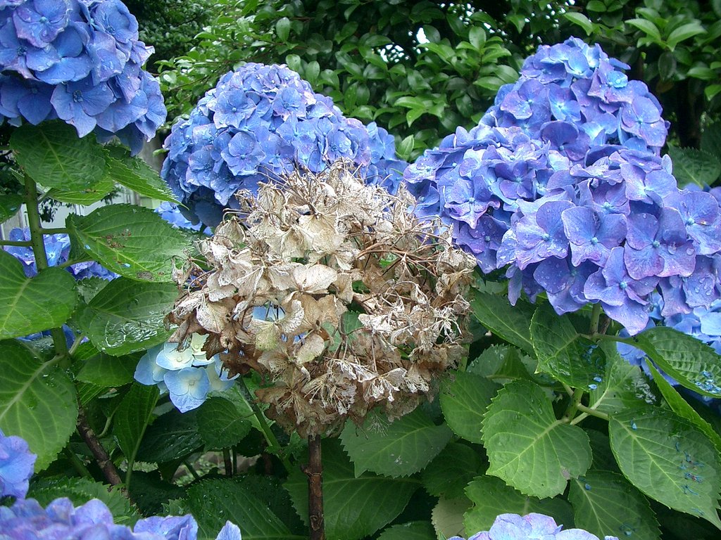 〜新旧交替〜