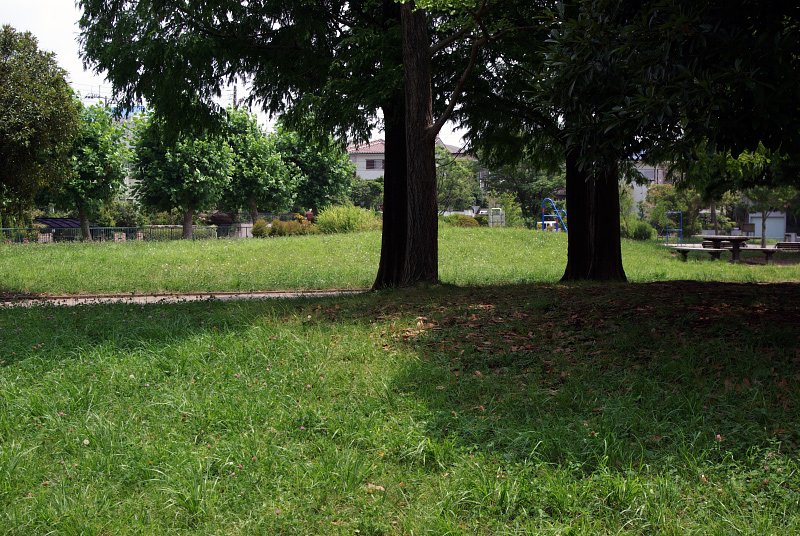 お昼の公園