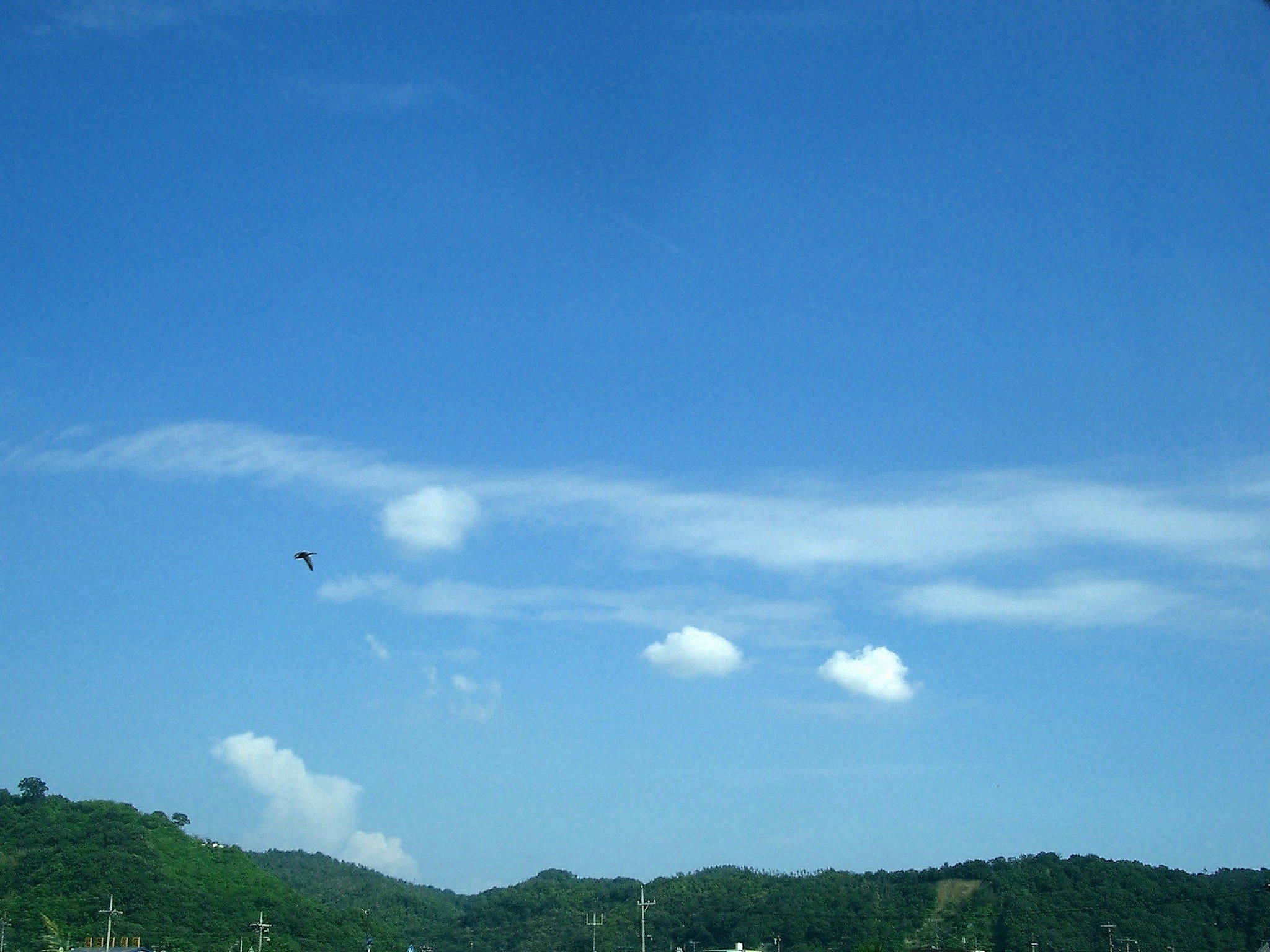 夏空-その3