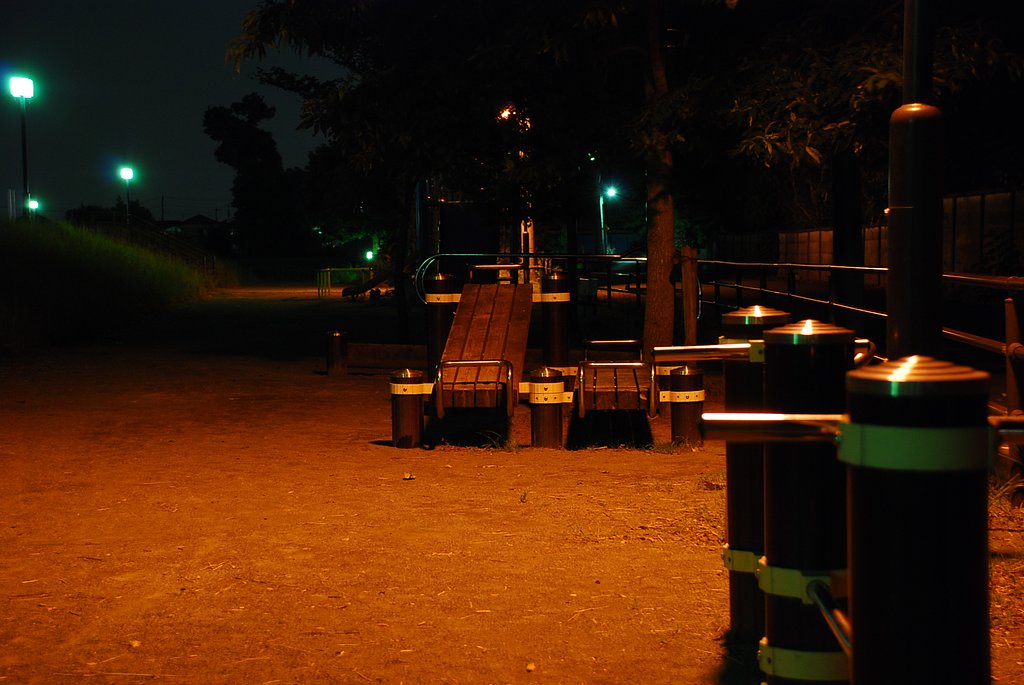 夜の公園