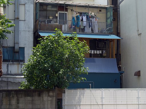 大都会その裏側