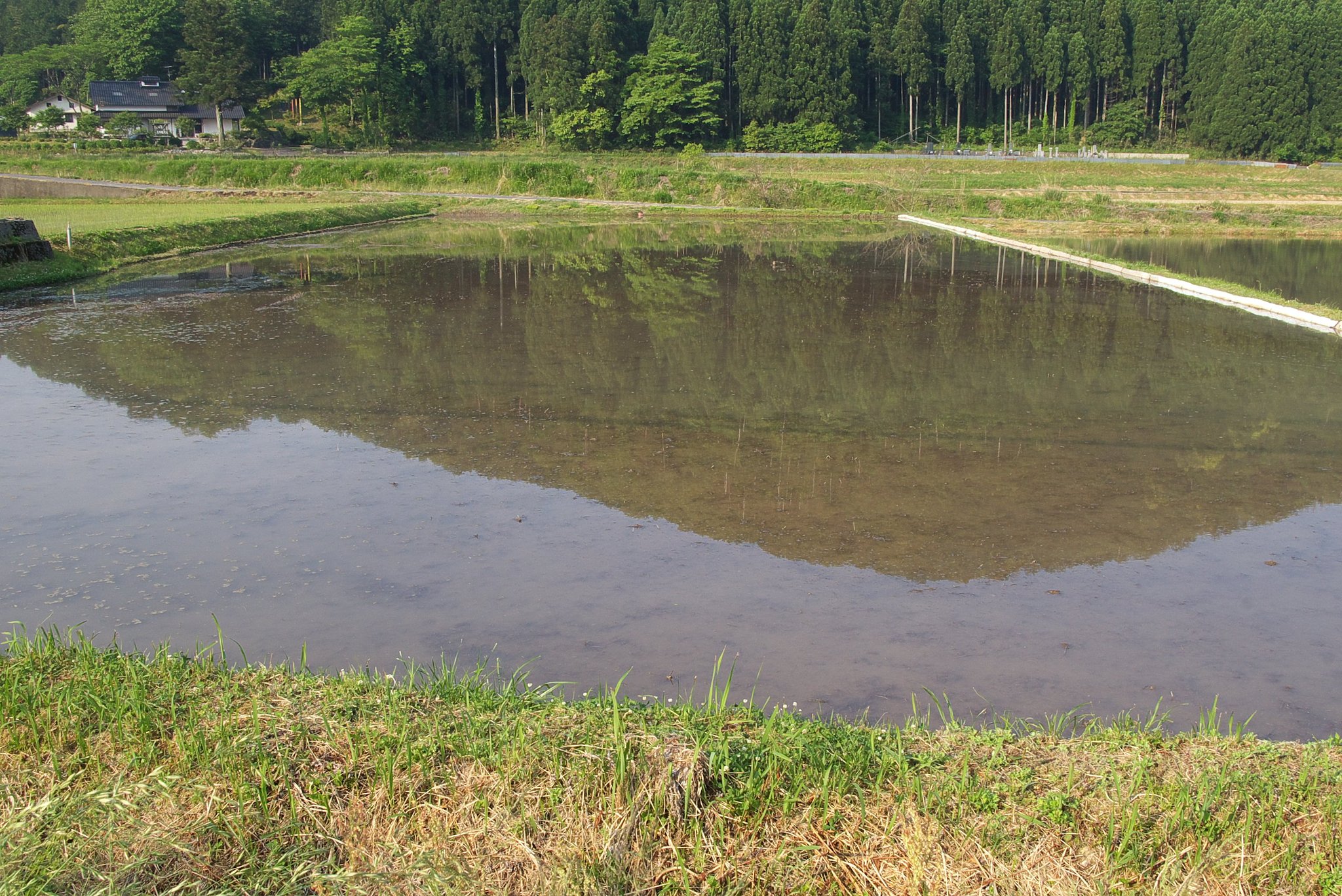 田植えの準備が出来ました。