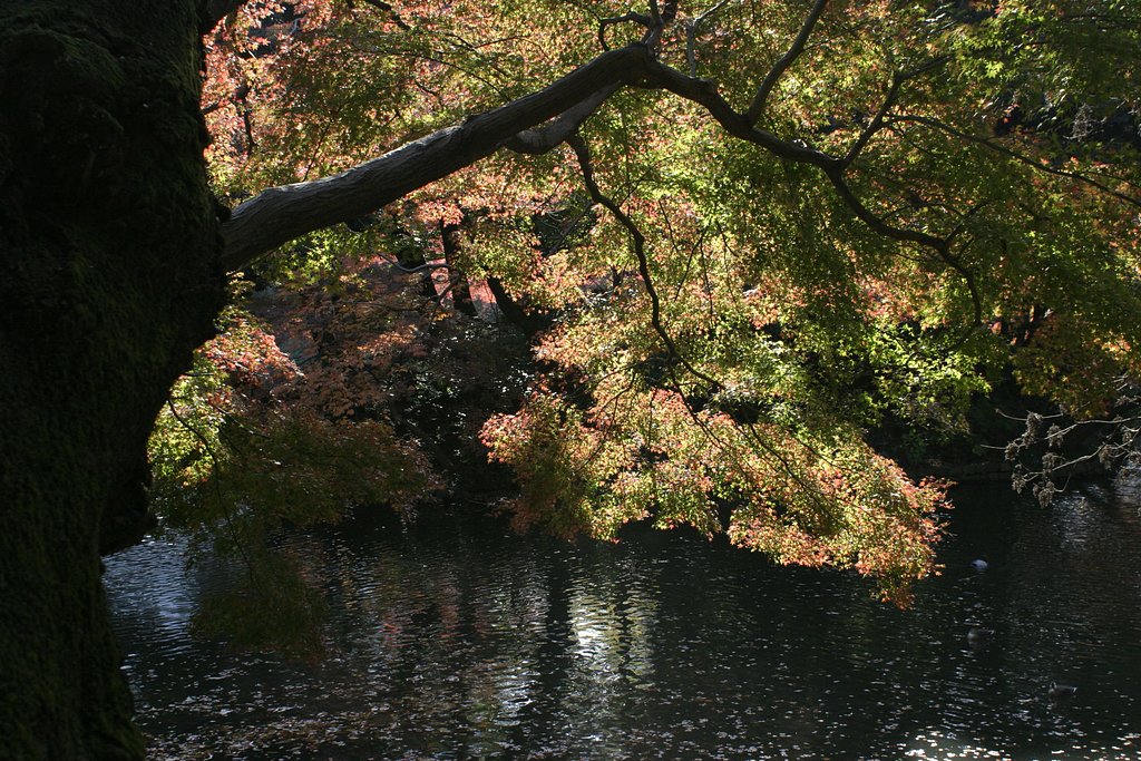 小石川後楽園