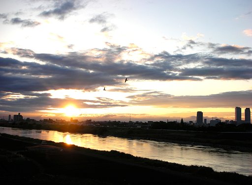 朝の川景色