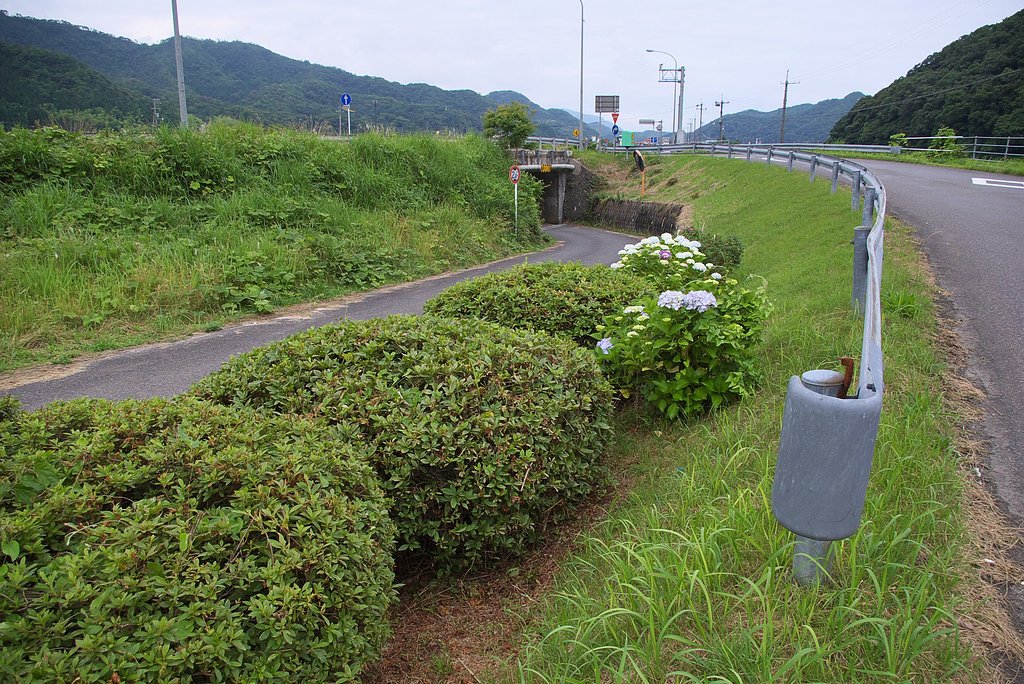 村の入口の花壇です。